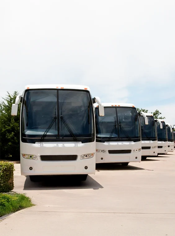 Fleet of white heavy duty transit buses parked in a large parking lot